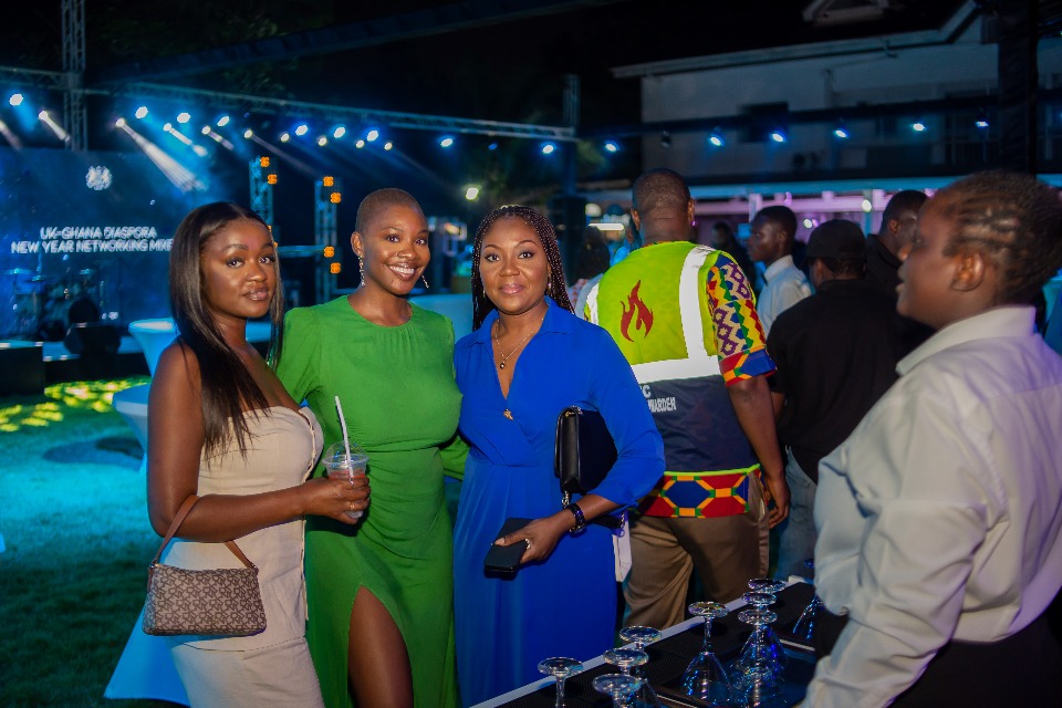 Travel Visas & Visa Services: ghana visa application criminal record check