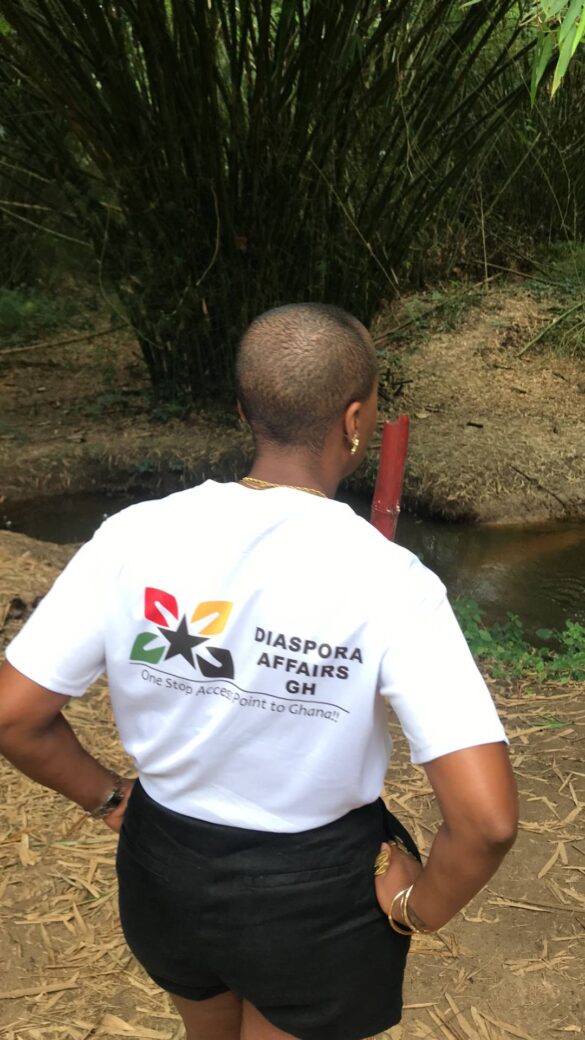 diaspora affairs gh